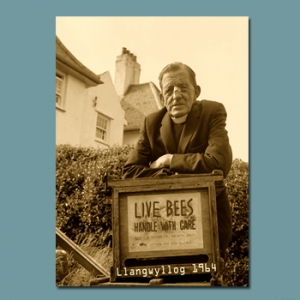 Reverend Bees